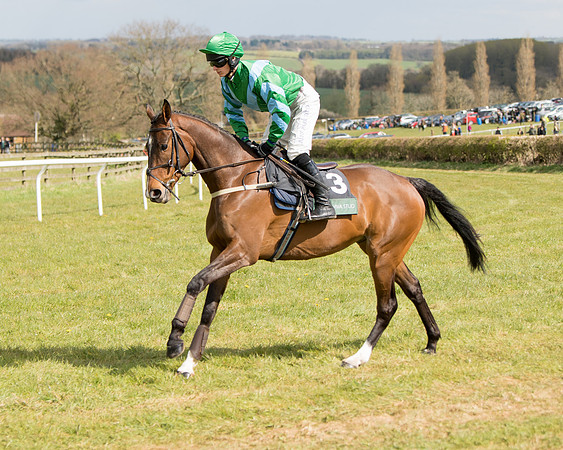 Race 2 - Young Horse Maiden (29 of 104)