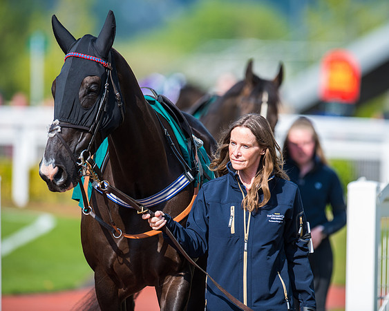 Race 1 - The open Hunter chase  (6 of 95)