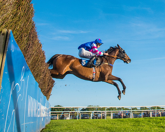 Race 5 - White Swan Hotel Handicap (48 of 80)