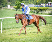 Race 2 The Highwayman Inn Restricted Race (4 of 144)