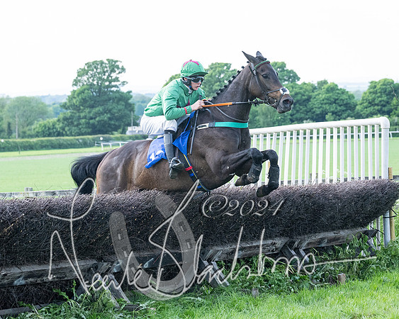 Race 5  - Maiden race 2m5F Div-2 (159 of 205)