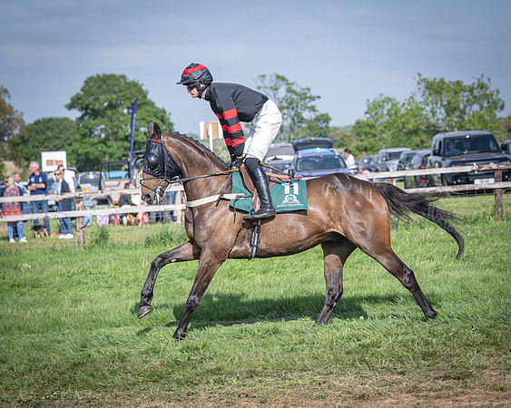 Race 6 - 2m5f Conditions (26 of 70)
