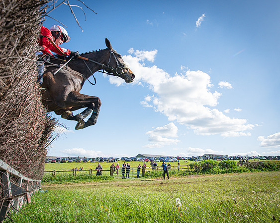 Race 5 - F N Pile and Sons PPORA Novice Riders (73 of 151)