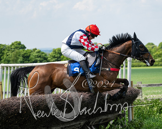 RAce 1 - Conditionsn [Level 2] (159 of 219)