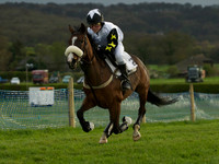 Pony Race 2 -  16