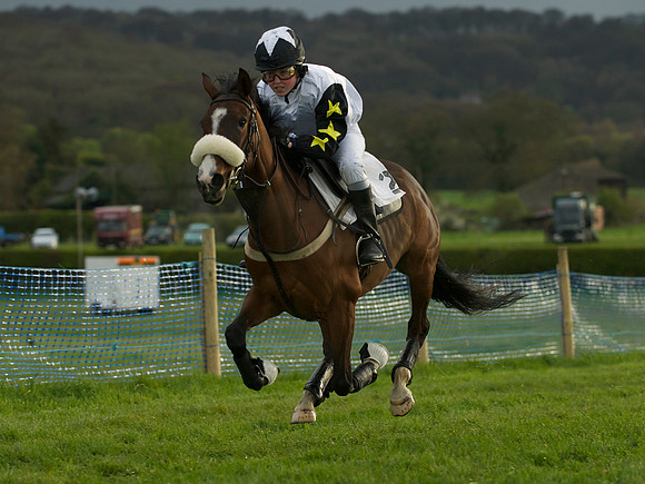 Pony Race 2 -  16