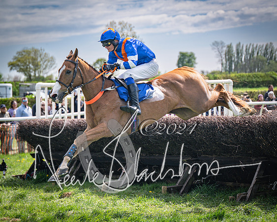 Race 2 - The Elliott of London maiden race (68 of 137)