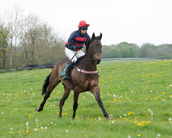 Race 2 - Jockey Club ROR veteran Horse (3 of 104)