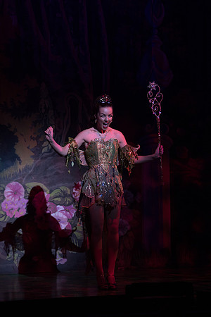 Swan Panto 2017