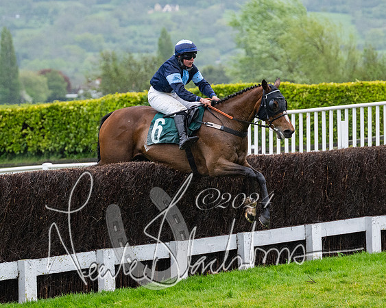 Race 5 - Mares Open  (73 of 129)