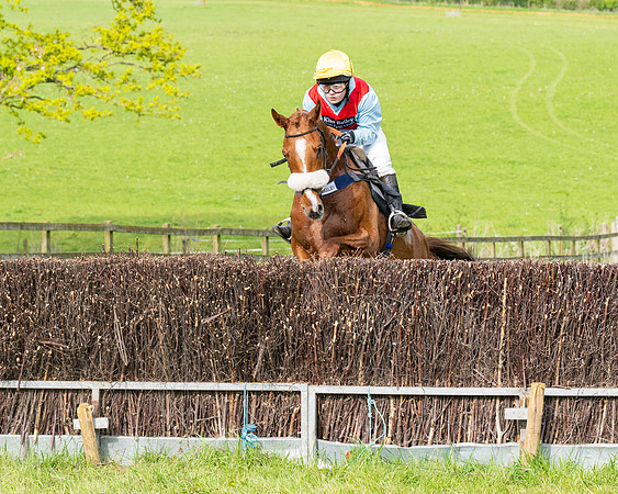 Race 5  - Novice riders (156 of 188)