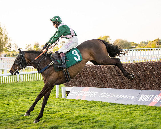 Race 5 - ITM Mares'  (39 of 181)