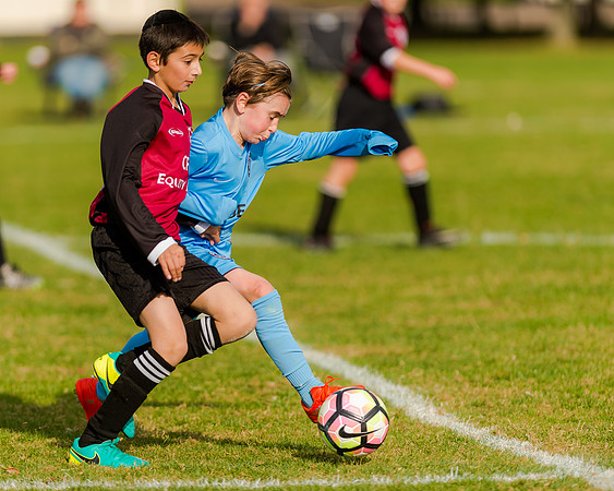 AFC Oaklands v Hendon United (244 of 314)