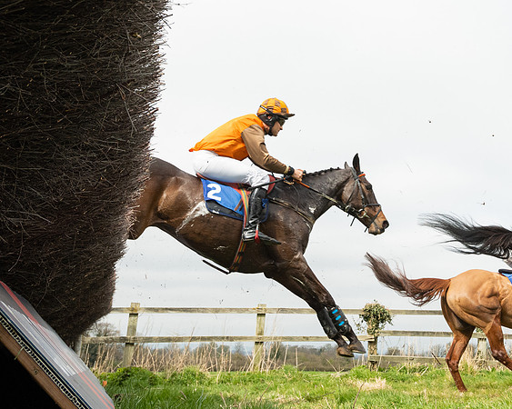Race 2 - Veteran Horse (22 of 153)