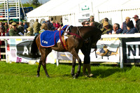 Race 4 - Novice Riders 3