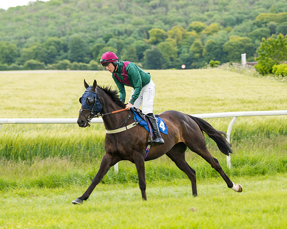 Race 1 - Owner Trainer Conditions  (44 of 133)