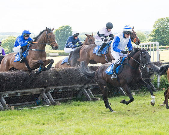 Race 6 - Open Maiden (102 of 227)