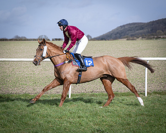 Race 3 - The Maiden Conditions (49 of 214)