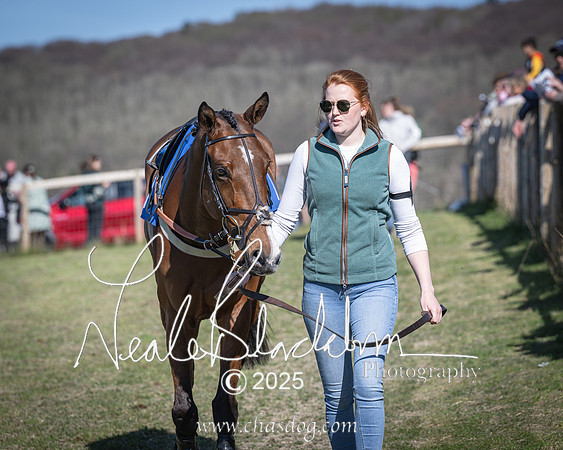 Race 6 - Veteran horse (3 of 109)