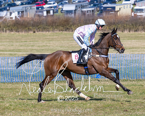 Race 1 - Maiden (78 of 188)