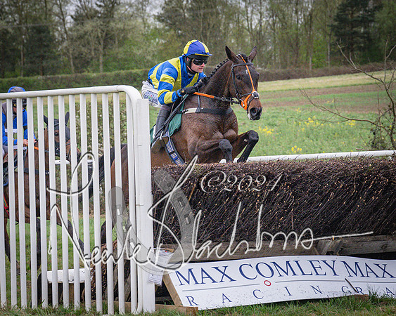 Race 7 - The Jockey Club maiden race for Mares and Fillies only (65 of 96)