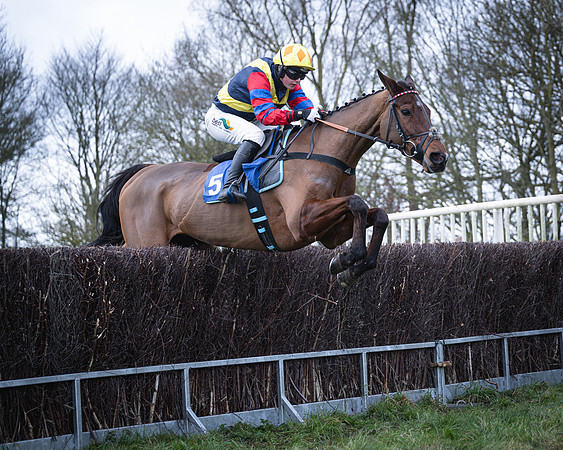 Race 4 - Fairly Famous - Gina Andrews (7 of 23)