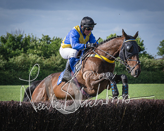 Race 6 - Thorn Plant Hire Maiden Race (47 of 129)
