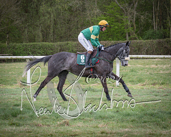 Race 7 - The Jockey Club maiden race for Mares and Fillies only (8 of 96)