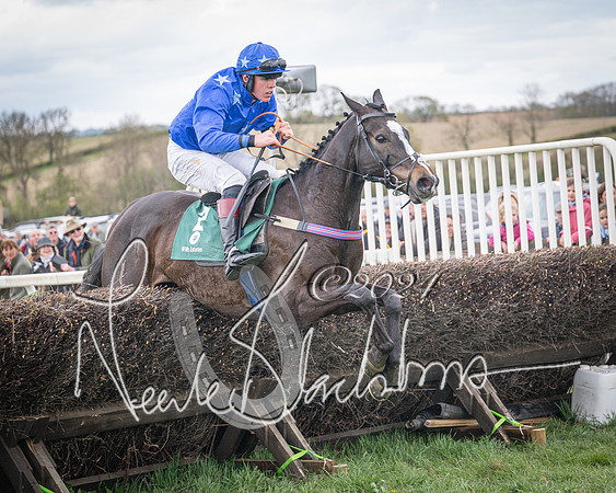 Race 2 - Tattersalls Cheltenham 4 year old Maiden (69 of 85)