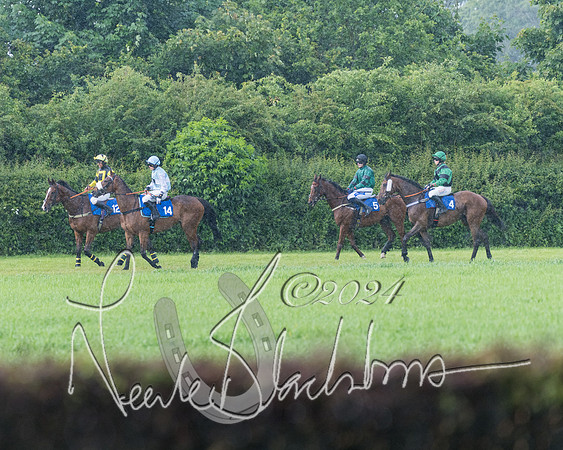 Race 4 - Mixed Open (109 of 591)