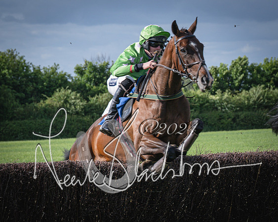Race 6 - Thorn Plant Hire Maiden Race (52 of 129)