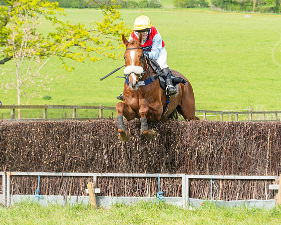 Race 5  - Novice riders (158 of 188)