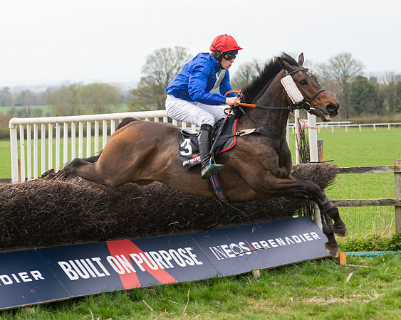 Race 5 - The Ineos Home Counties Grand National (67 of 133)