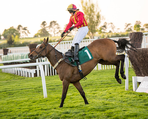 Race 5 - ITM Mares'  (82 of 181)