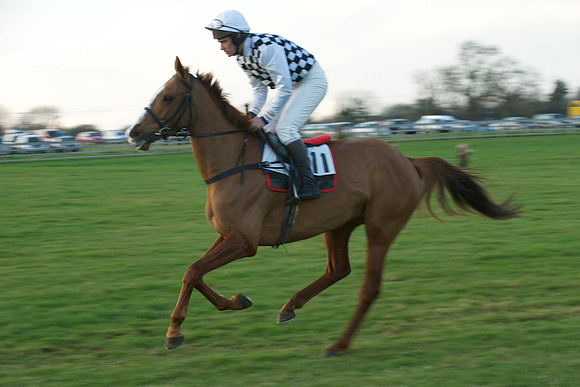 Race 9 -  9