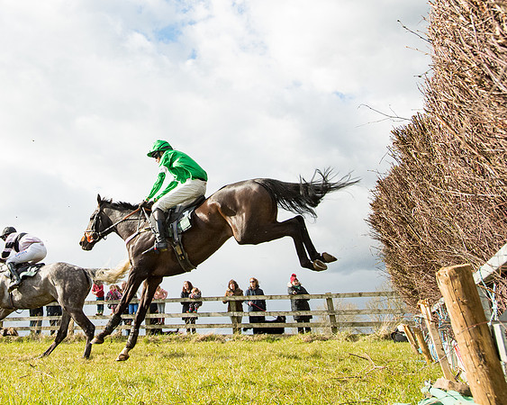 Race 5 - Restricted  (49 of 118)