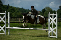 SOHS PC Summer Show at BCA 17th June 2012