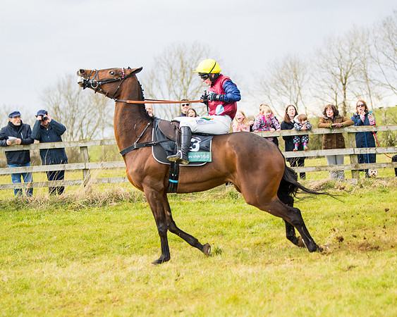 Race 5 - Restricted  (71 of 118)