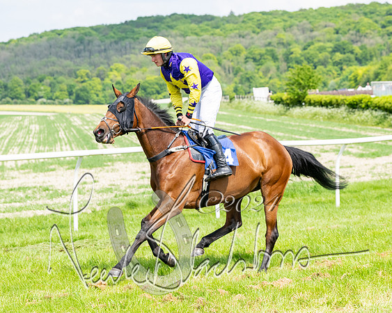 Race 2 - Restricted  (158 of 308)