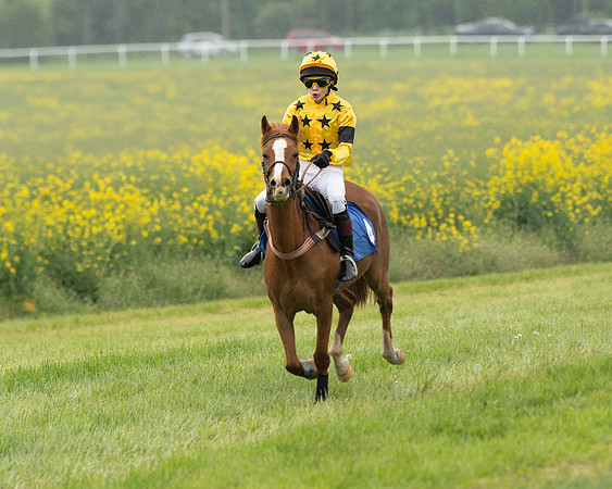 Pony Race 1  (93 of 125)