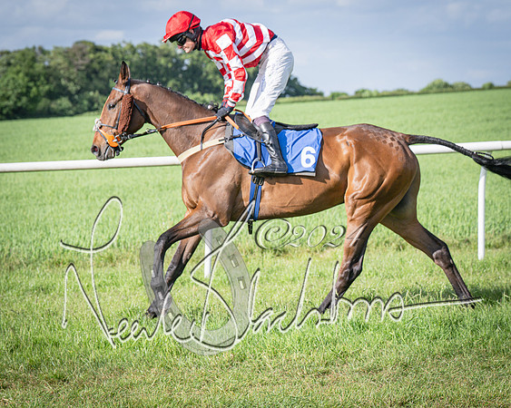 Race 6 - Thorn Plant Hire Maiden Race (22 of 129)