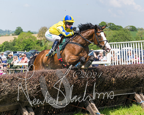 Race 2 - The Maiden  (240 of 442)