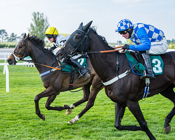 Race 1 - The open Hunter chase  (60 of 95)
