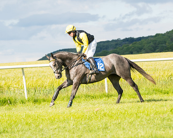 Race 6 - Open Maiden (81 of 227)