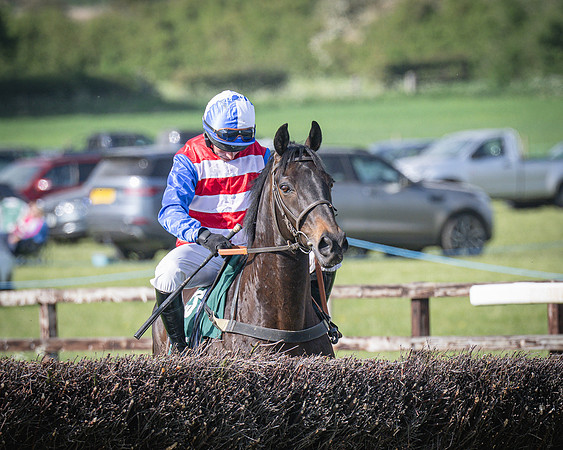 Race 6 - 2m5f Conditions (30 of 70)