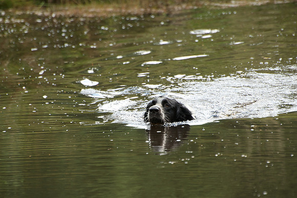 WCGB-04AUG-2013 Water Training Day 17