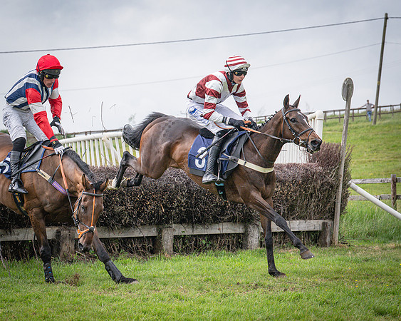 Race 6 - 2M4F Maiden (41 of 85)