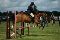 SOHS PC Summer Show at BCA 17th June 2012