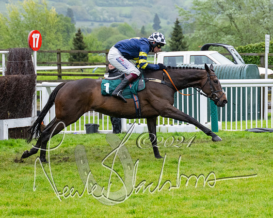 Race 5 - Mares Open  (57 of 129)