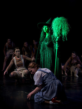 The Wizard of OZ -  358